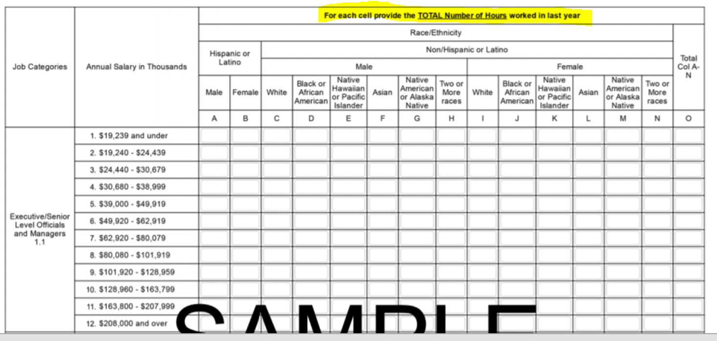 EEO-1 Report Sample form