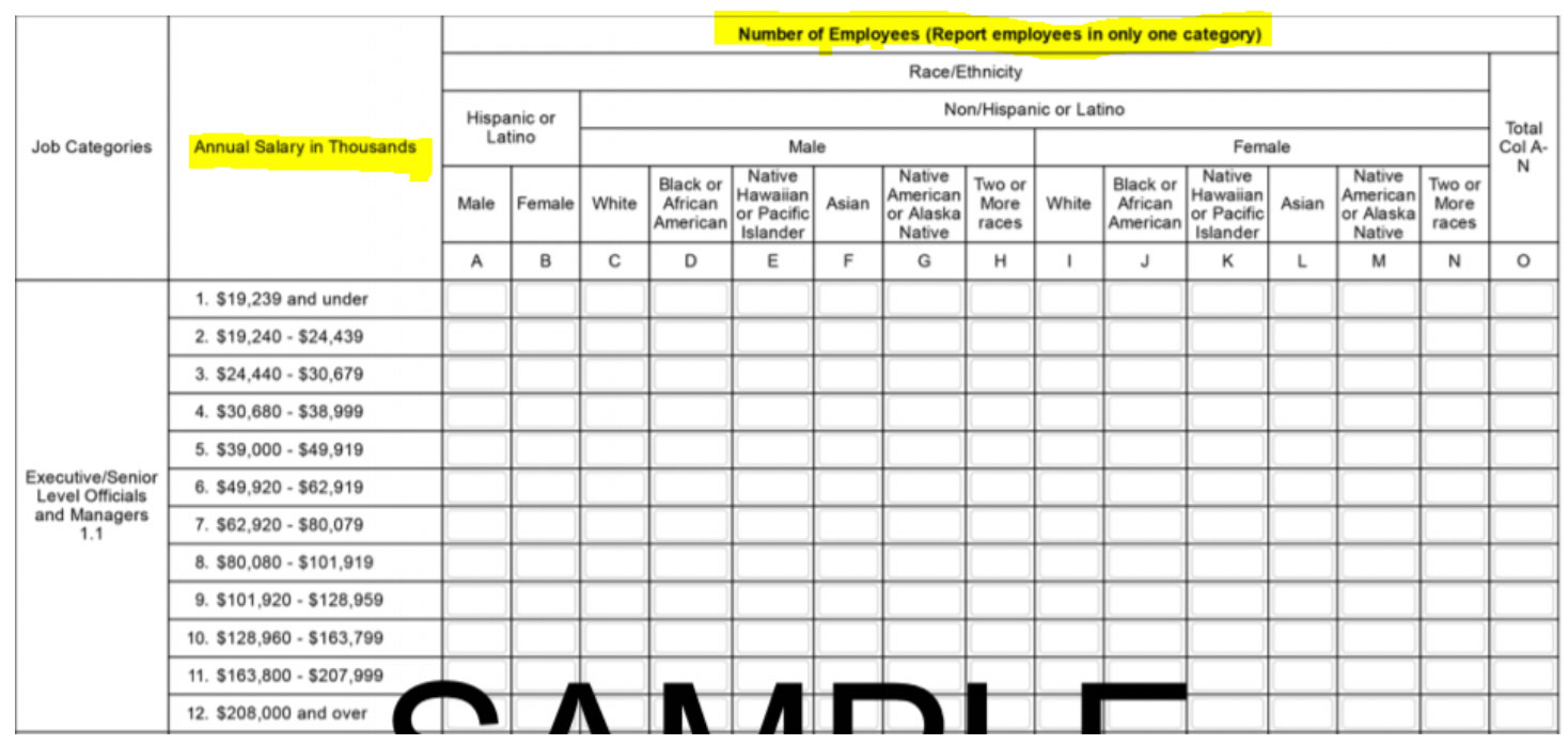 EEO-1 Sample form